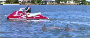 Daytona Beach Dolphin Encounters